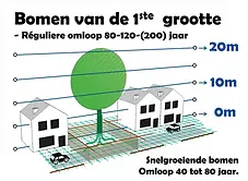 Bomen van de 1ste grootte, veelal met een gem. levensduur van 80, 120 of 200 jaar.