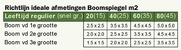 Richtlijn voor ideale afmetingen van een boomspiegel in de verharding.