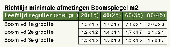 Richtlijn voor minimale afmetingen van een boomspiegel in verharding