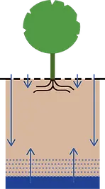 Hangwaterprofiel versus bomen