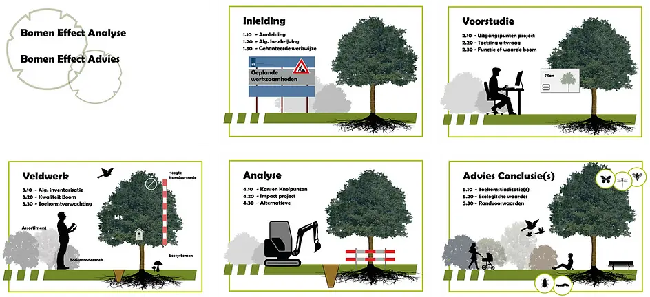 Een Bomen Effect Analyse (BEA) is vaak verplicht, met name bij ruimtelijke ontwikkelingen in de nabijheid van bomen. Veel gemeenten vereisen een Bomen Effect Analyse BEA als onderdeel van de vergunningsaanvraag voor bouw- of aanlegprojecten die mogelijk invloed hebben op bomen. Het doel van de analyse is om de impact van deze werkzaamheden op de bomen te beoordelen en te bepalen of en hoe de bomen behouden kunnen blijven Formeel gezien is een Bomen Effect Analyse een werkvolgorde die is opgesteld door de Bomenstichting in samenwerking met het Centrum Regelgeving en Onderzoek in de Grond-, Water- en Wegenbouw en de Verkeerstechniek. Dit vormt een richtlijn die landelijk erkend is en waaraan alle overheidsinstellingen zich hebben verbonden. Deze richtlijn, die bestaat uit 16 bouwstenen verdeeld over 4 onderdelen, wordt ook steeds vaker door derden gebruikt. Het volgen van deze werkvolgorde zorgt ervoor dat alle betrokken partijen dezelfde criteria hanteren.