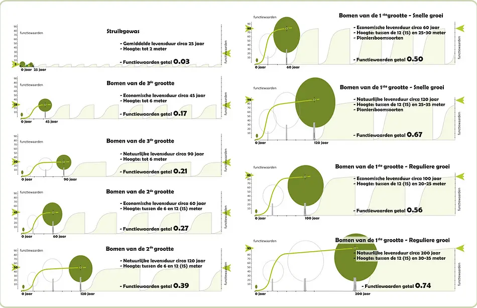 functiewaarden getal Op de pagina "Hoe belangrijk zijn bomen nu eigenlijk?" is al uitgebreid uitgelegd dat bomen en groen onmisbaar zijn voor onze samenleving. Bomen zijn essentieel omdat wij als maatschappij afhankelijk zijn van de diverse functies die een boom biedt, welke min of meer behoren tot onze eerste levensbehoeften. Op dezelfde pagina is ook duidelijk geworden dat hoe groter en ouder de boom is, des te groter zijn maatschappelijke bijdrage. Vooral het verschil tussen de diverse boomgroottes (Bomen van de 1ste, 2de, 3de en 4de grootte) maar vooral het verschil tussen een natuurlijke en een economische omloop heeft een aanzienlijke invloed op het functiewaarden getal. Diverse boomgroepen en omlooptijden met de bijbehorende functiewaarde getallen.