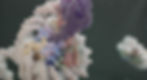 Histone and Sirtuin6-1.jpg