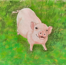 Pig by Tammy Roth