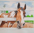 Horse by Tammy Roth