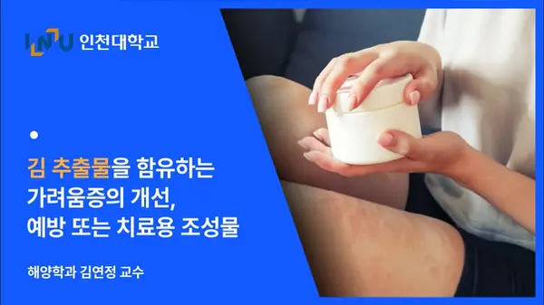 김 추출물을 함유하는 가려움증의 개선.webp