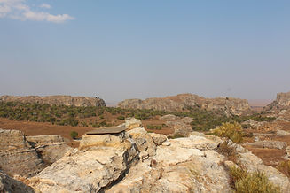 IMG_3247.JPG