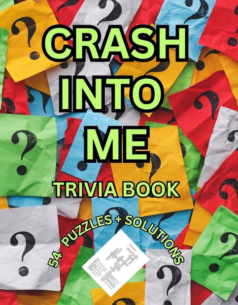 DAVE MATTHEWS TRIVIA PUZZLE BOOK COVER FRONT