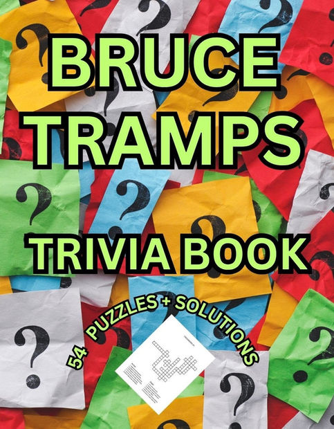 BRUCE SPRINGSTEEN TRIVIA PUZZLE BOOK COVER FRONT