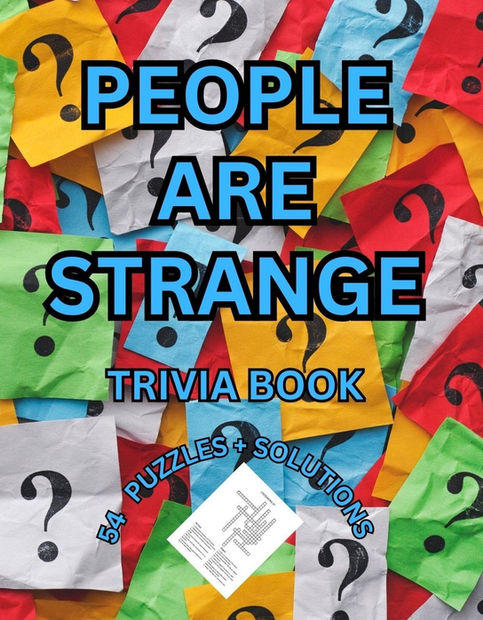 THE DOORS TRIVIA PUZZLE BOOK COVER FRONT