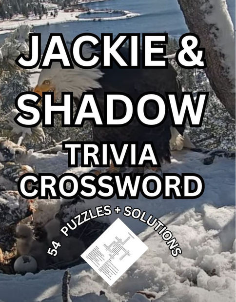 Jackie and the Shadow