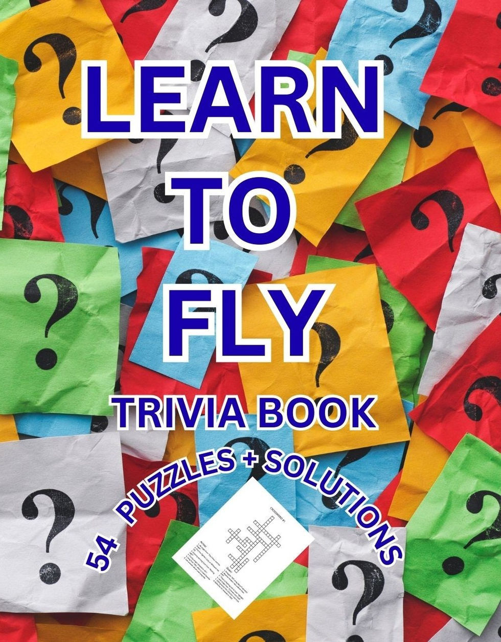 FOO FIGHTERS TRIVIA PUZZLE BOOK COVER FRONT