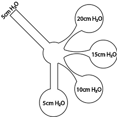 Element 4_2x.png