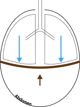 APrElement 4_2x.png