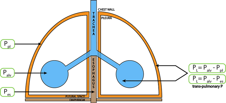Trans-Pulmonary Airway Pressure during Mechanical Ventilation in PICU
