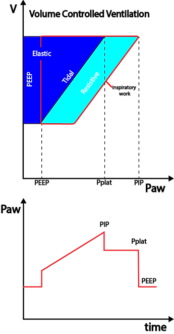 WOB-VCElement 2_2x.png