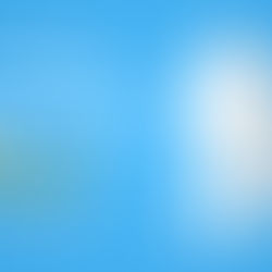 Nominee Shareholders in Dubai: How to Protect Privacy & Retain Control of Your UAE Company