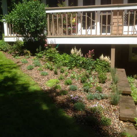 Xeriscape Garden: 