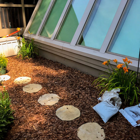 Butterfly Garden Installation: 