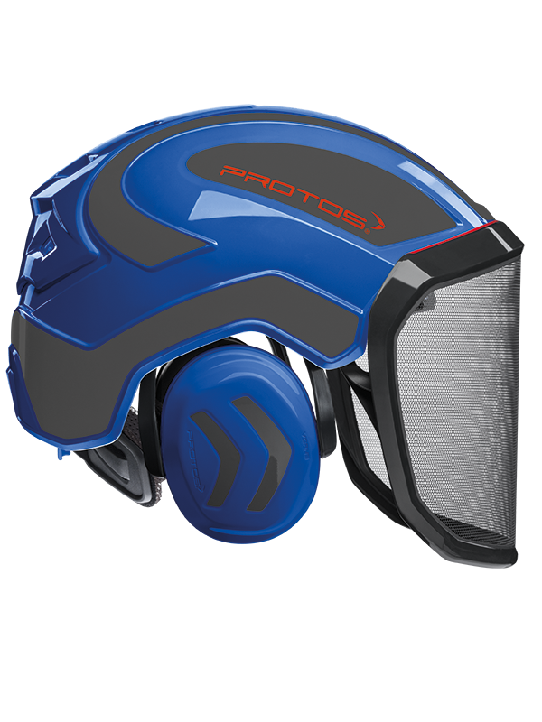 Miniaturbild: PROTOS INTEGRAL FOREST