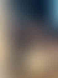 Revisor Kurt von Arx