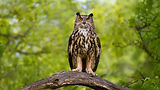 shutterstock_2299945309_16-9.jpg