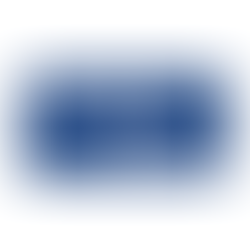 Logo Schenker Storen