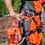 Miniaturbild: Husqvarna T525