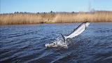 shutterstock_263904887_16-9.jpg