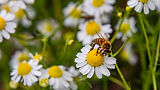 shutterstock_2315746605_16-9.jpg