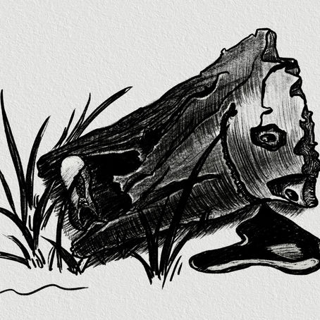 Inspiration From the Tree of Braeside Park