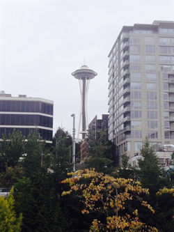 space needle