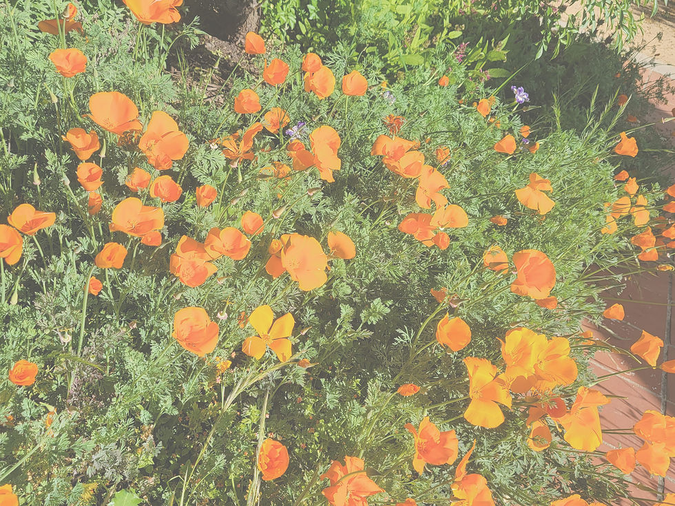 20230421_090141_edited.jpg