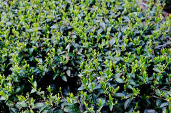 松田二郎7_edited