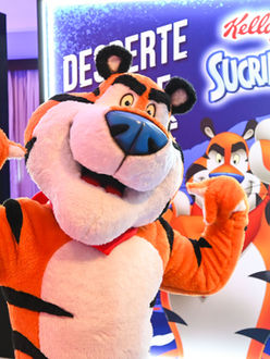 Produção de eventos, casting, modelos