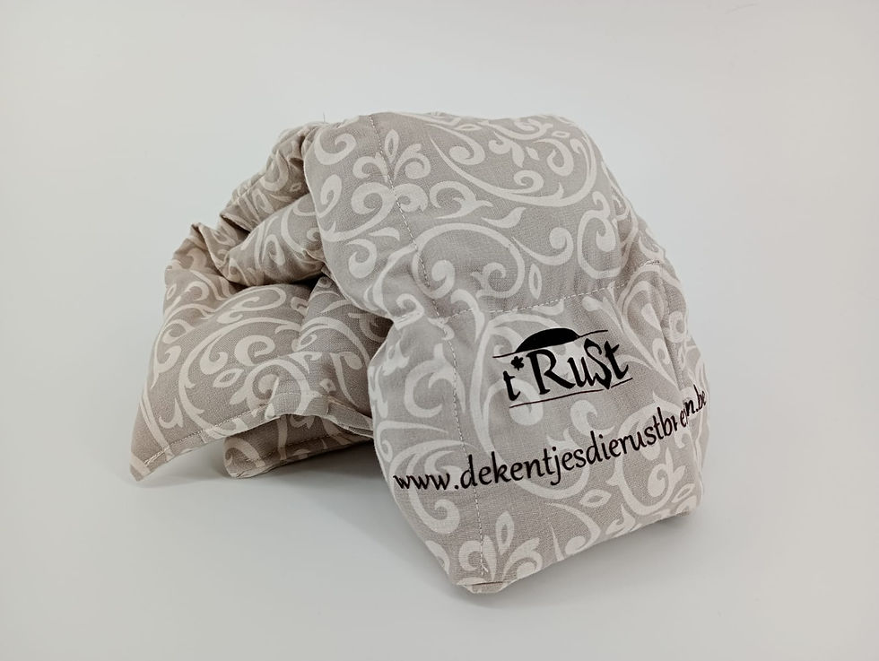 Nekkussentje L katoen & katoen: symmetrische figuren beige