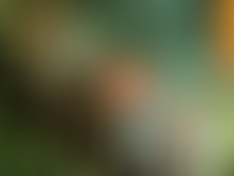 The eyes of an architect