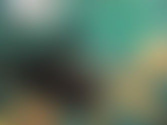 Repeat the Sounding Joy