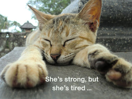 So why was I so tired?