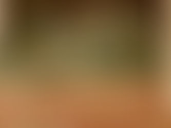 It’s the Holiday HO Express!