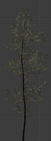 Screenshot 2024-12-19 025544.png