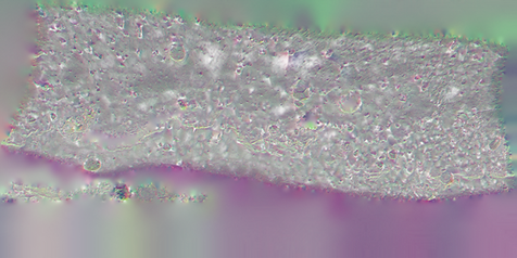 T_Ridge_Dirt_01_NA.PNG