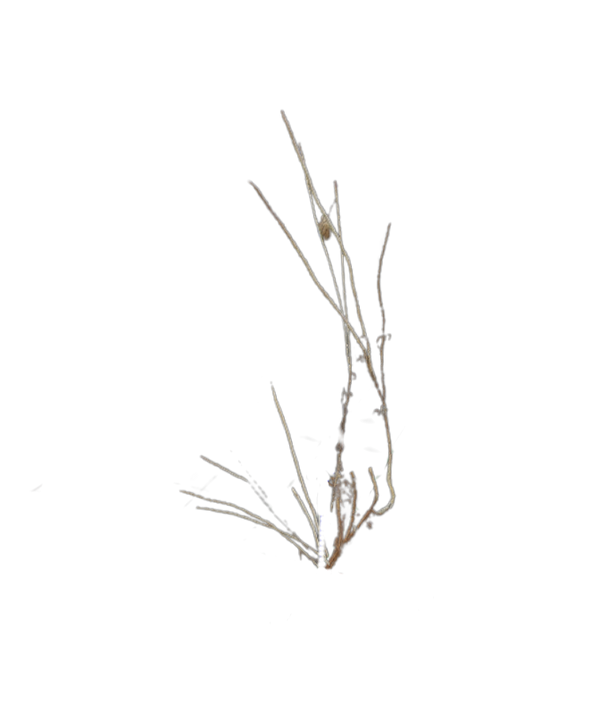 c81e837a-7a2d-49fb-805a-ab006683f1ed.png