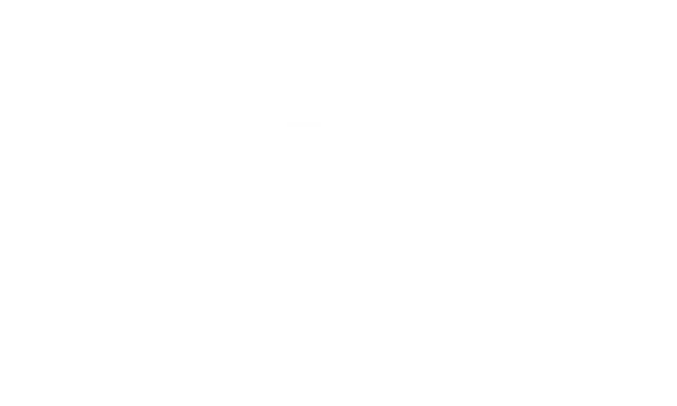 white_logo_transparent_background.png