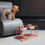 Thumbnail: Bauhaus Feeder