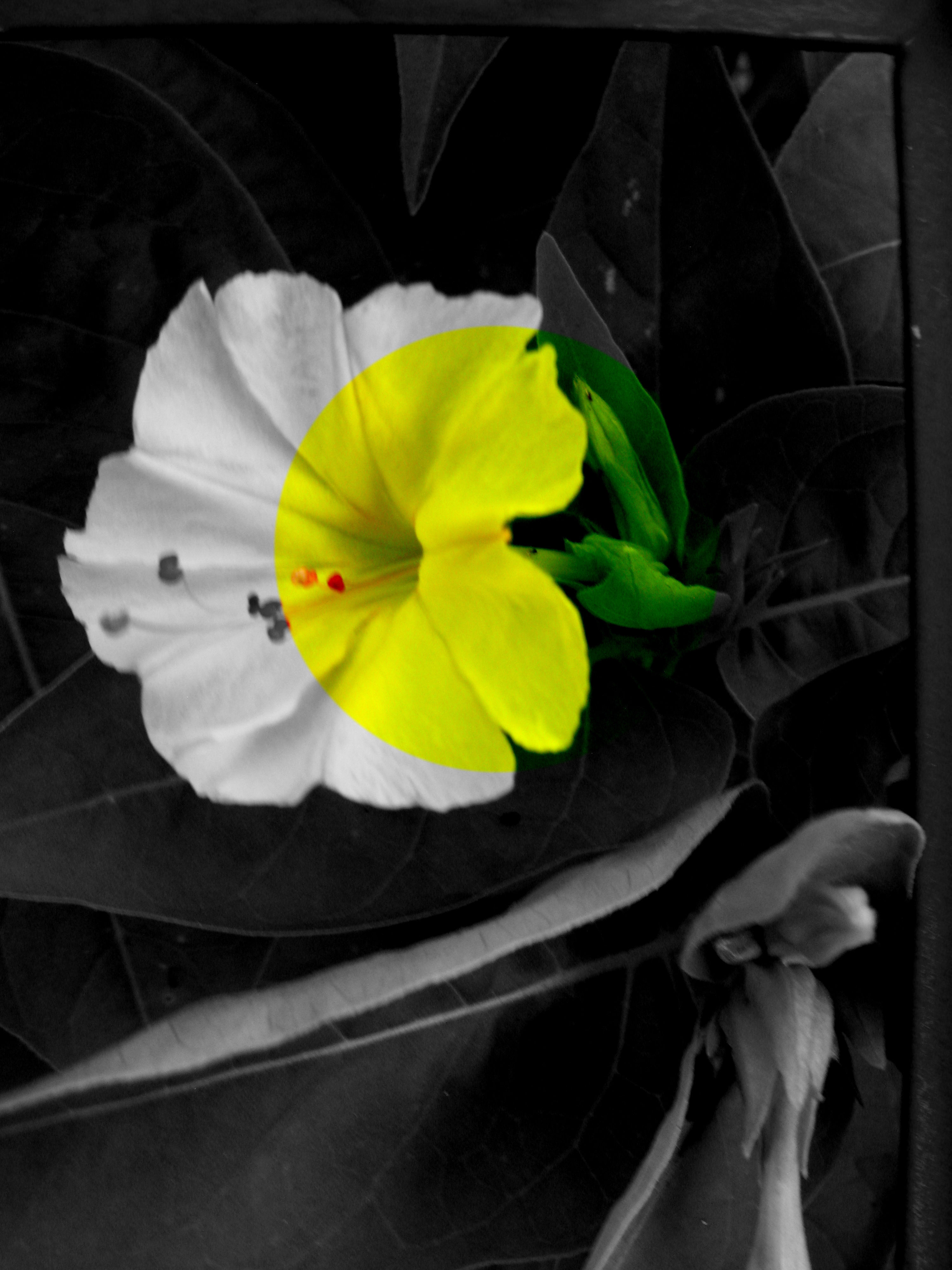 "Transformation" by Brett Noel