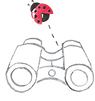 Ladybug Learning  Early Explorers icon