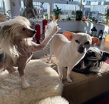 Hey Juicy! Give me five!!!_._._.jpe