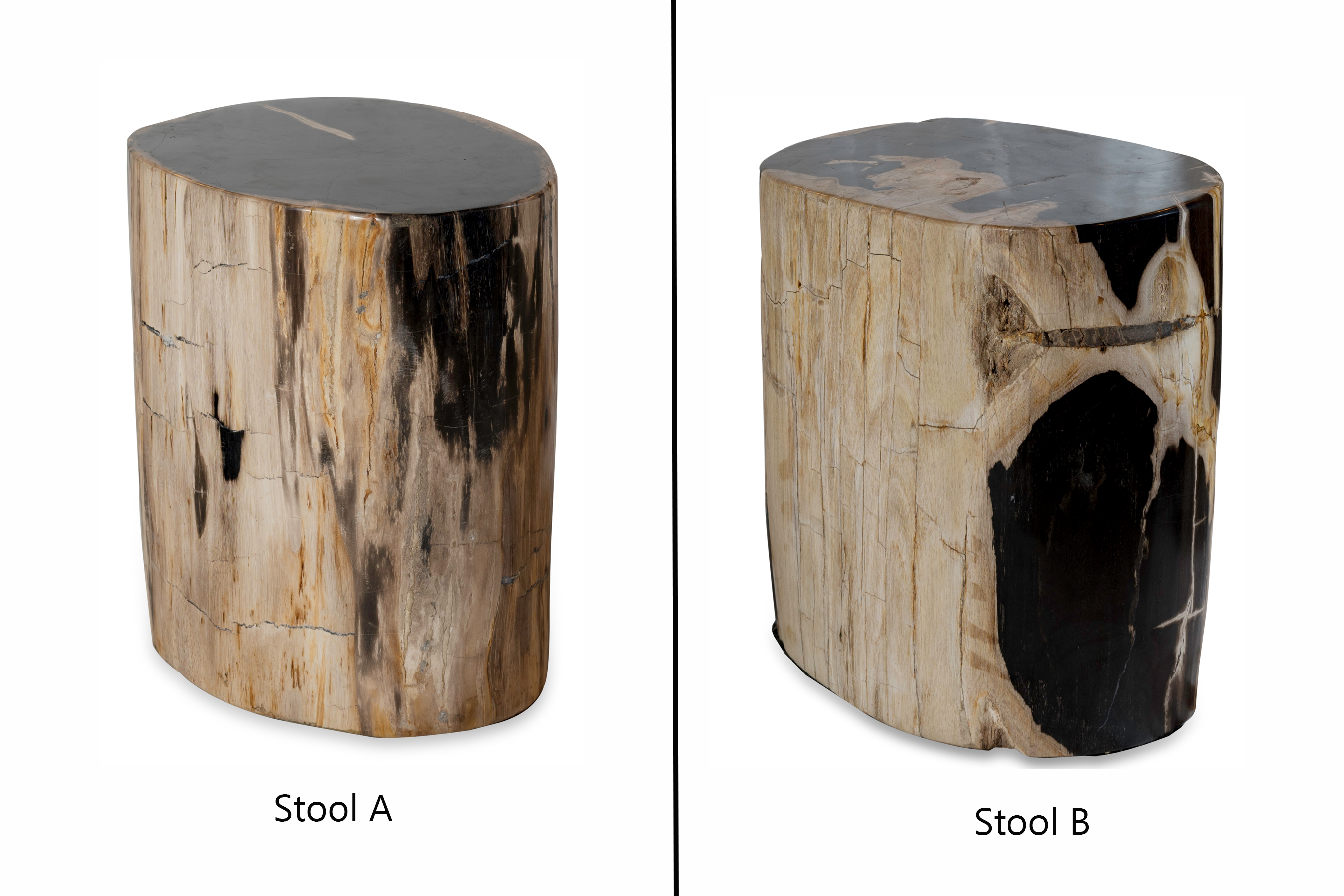 Petrified Wood Stool