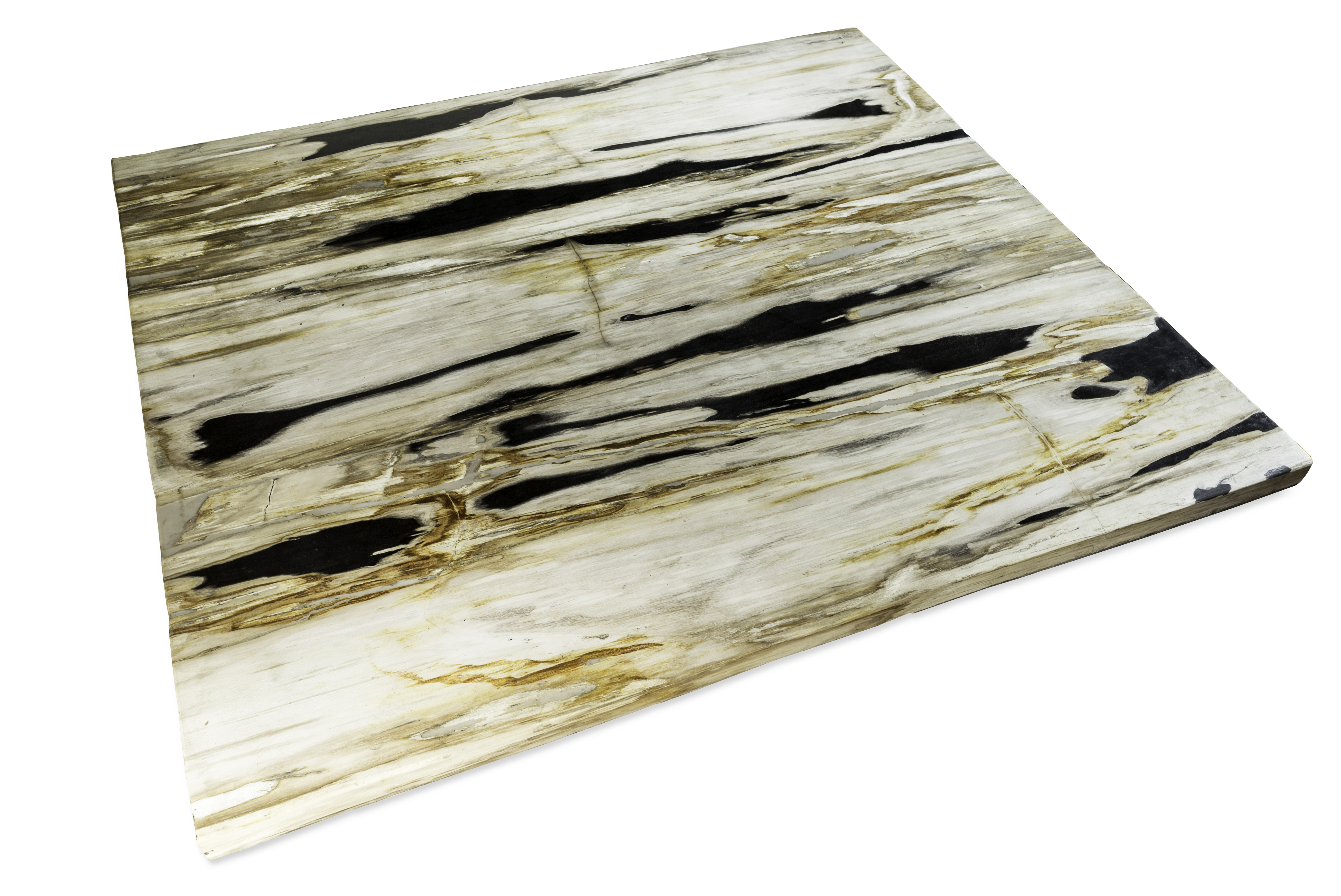 Petrified Wood Slab Coffee Table